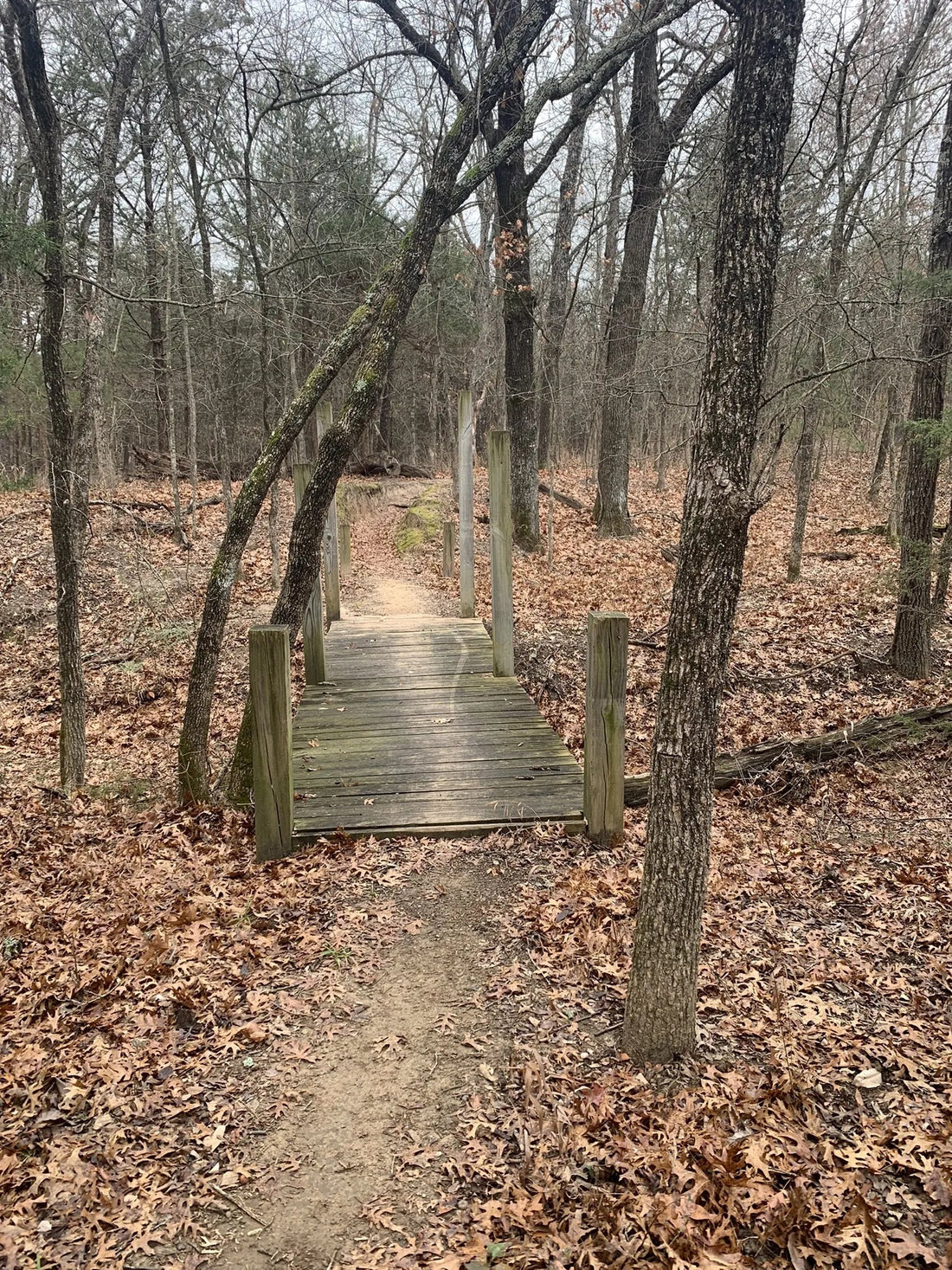 Best or Top Portraits & Caricatures Agencies and Companies in Ardmore, Oklahoma