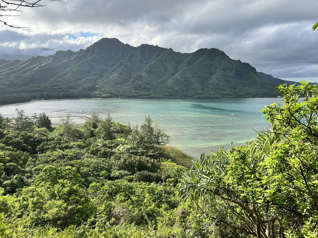 Top or Best App UI/UX Design Agencies and Companies in Hawaii