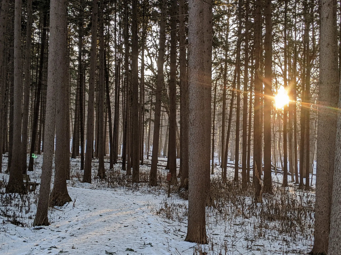 Top or Best AR Filters & Lenses Design Agencies and Companies in Illinois