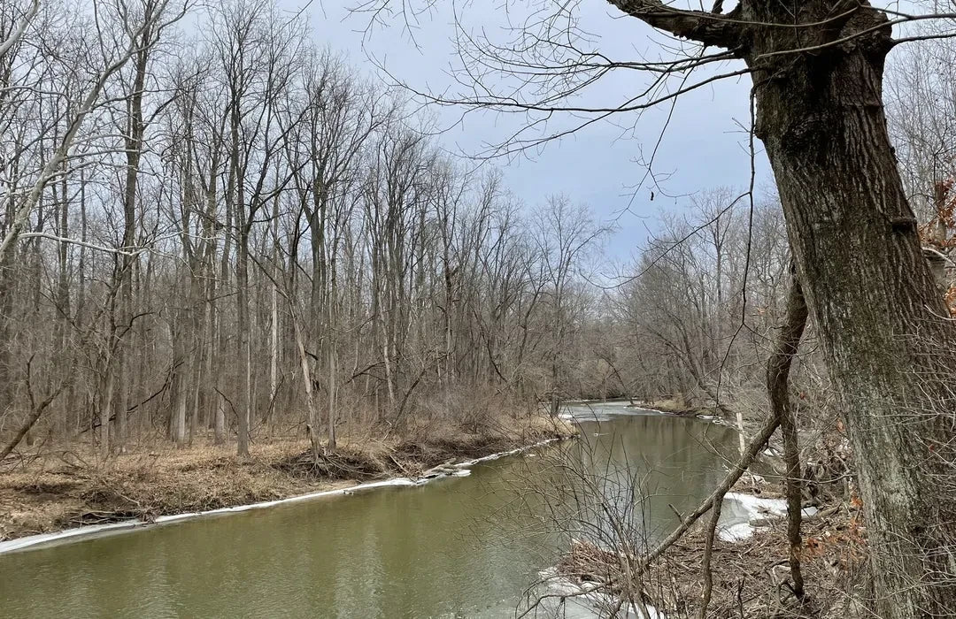 Top or Best Brochure Design Agencies and Companies in Fort Wayne, Indiana