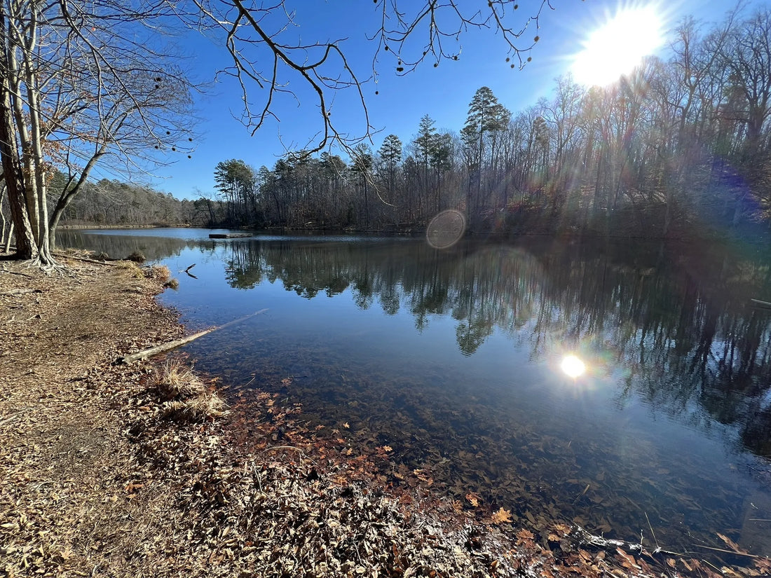 Best or Top Snapchat Management Agencies and Companies in Fort Mill, South Carolina