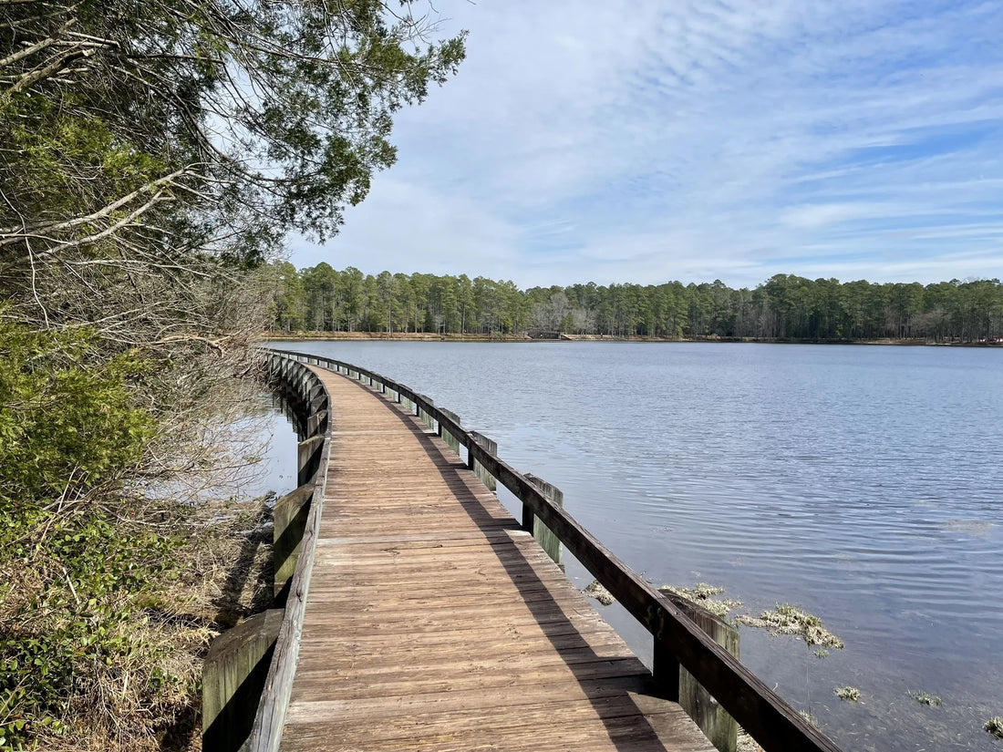Best or Top Storyboards Agencies and Companies in Mauldin, South Carolina
