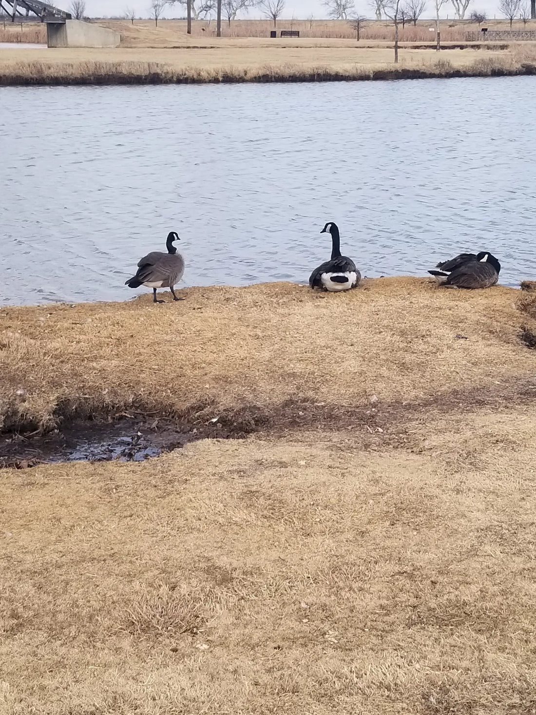 Best or Top Brochure Design Agencies and Companies in Yukon, Oklahoma