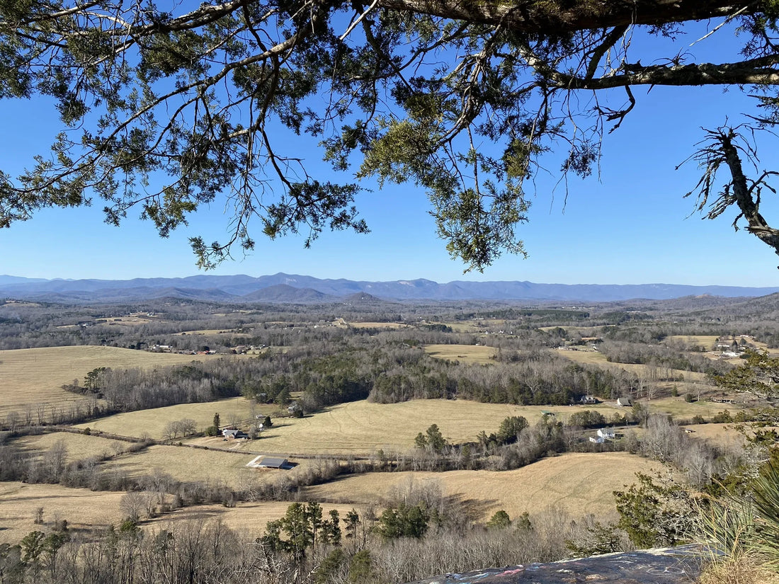 Best or Top TikTok Management Agencies and Companies in Fort Mill, South Carolina