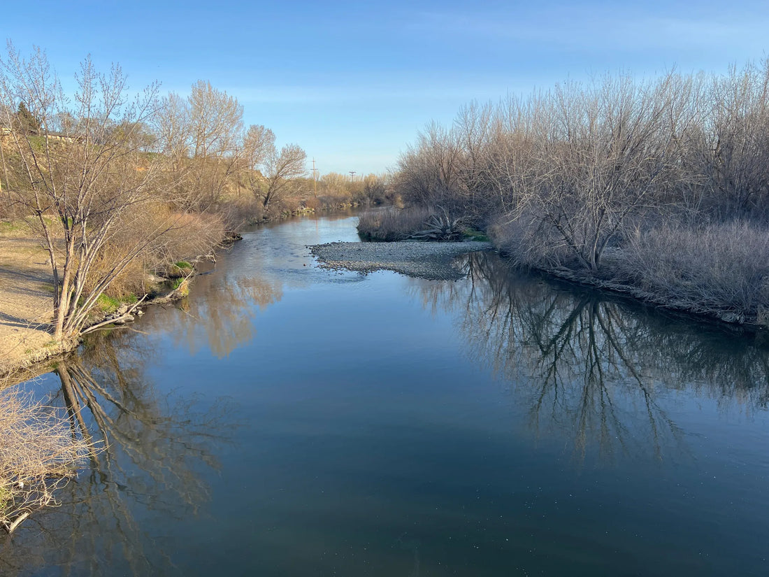 Top or Best Talent Agency Agencies and Companies in Idaho