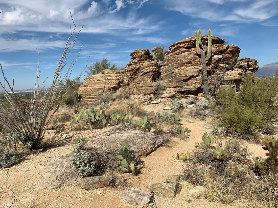 Best or Top Podcast Cover Design Agencies and Companies in Arizona