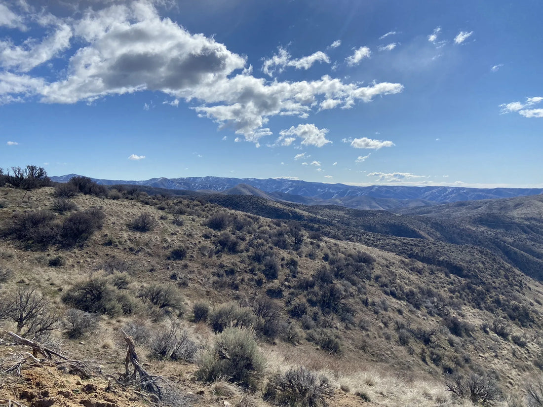 Top or Best Athlete Brand Partnership Agencies and Companies in Idaho