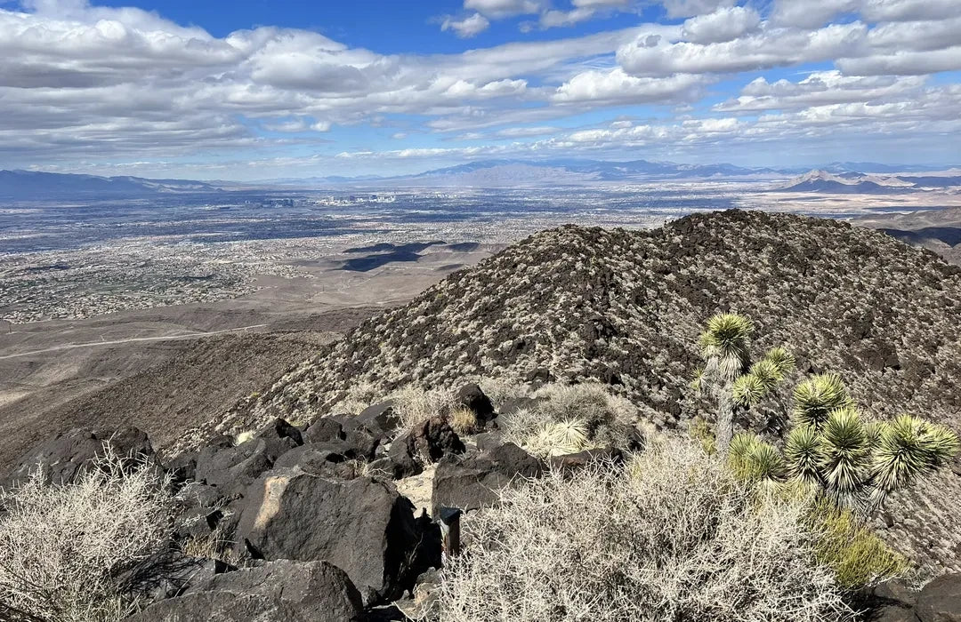 Best or Top Animation & Motion Graphics Agencies and Companies in Henderson, Nevada