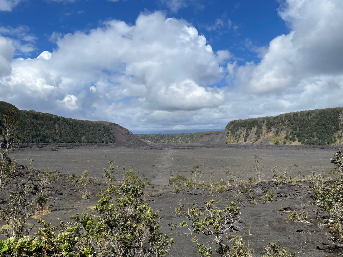 Top Athlete Agency Agencies and Companies in Hawaii