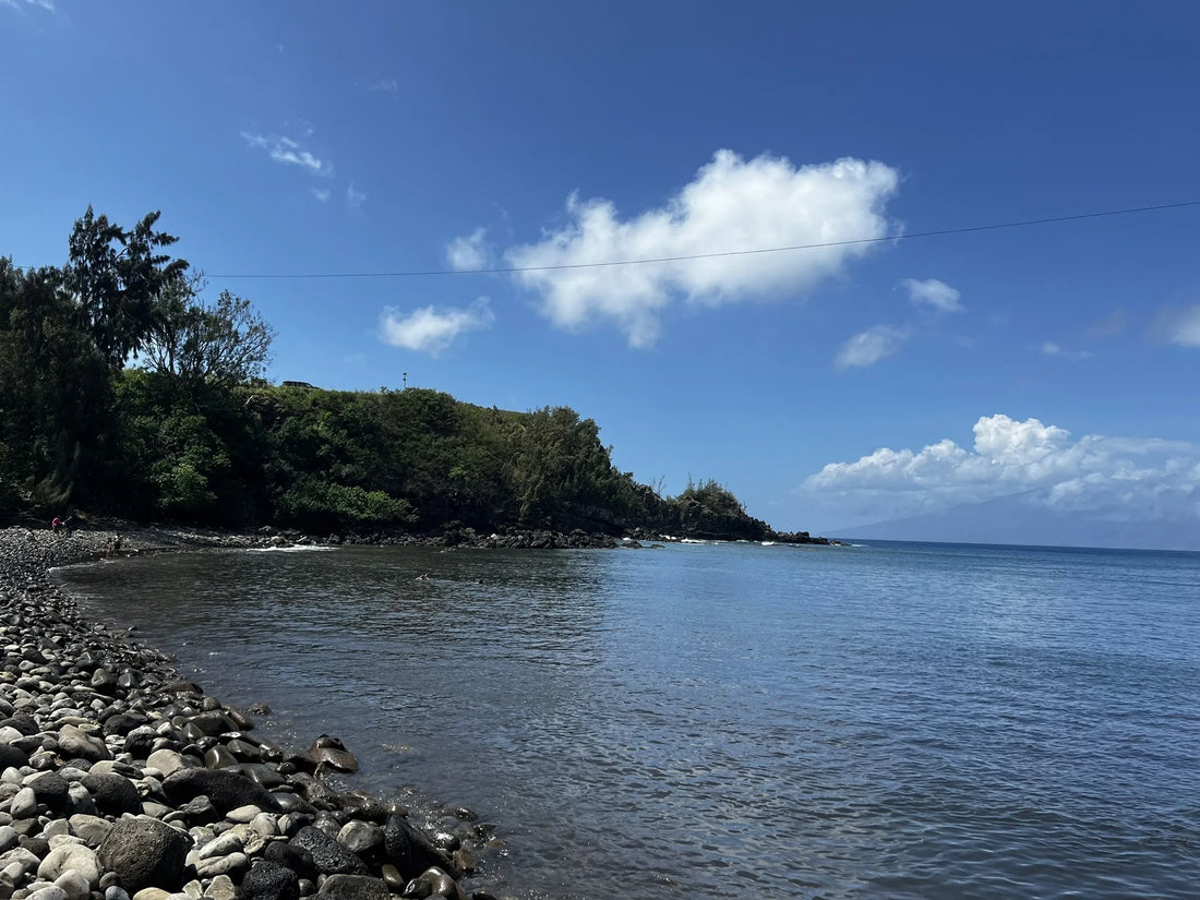 Top or Best Tattoo Design Agencies and Companies in Hawaii