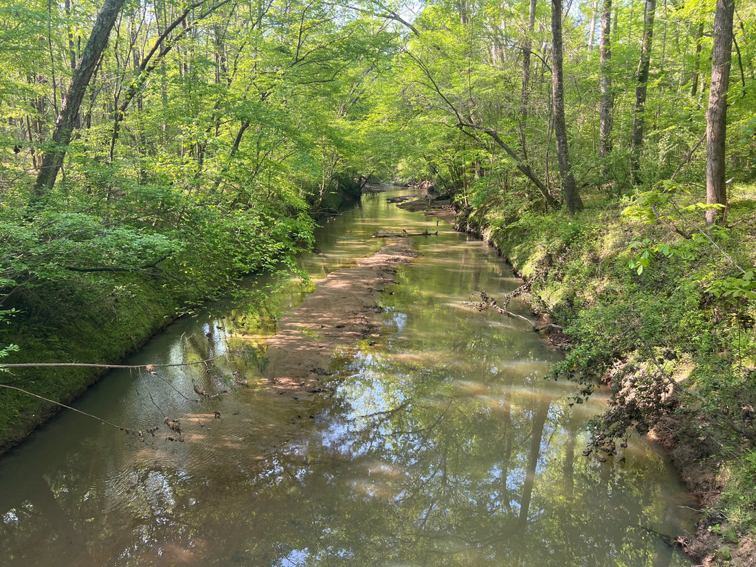 Best or Top YouTube Management Agencies and Companies in Fort Mill, South Carolina