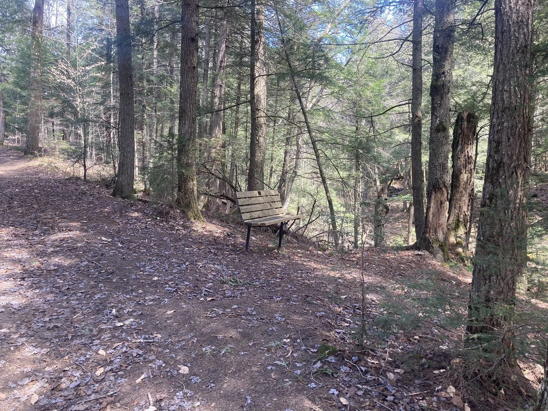 Best or Top Website Design Agencies and Companies in St. Johnsbury, Vermont