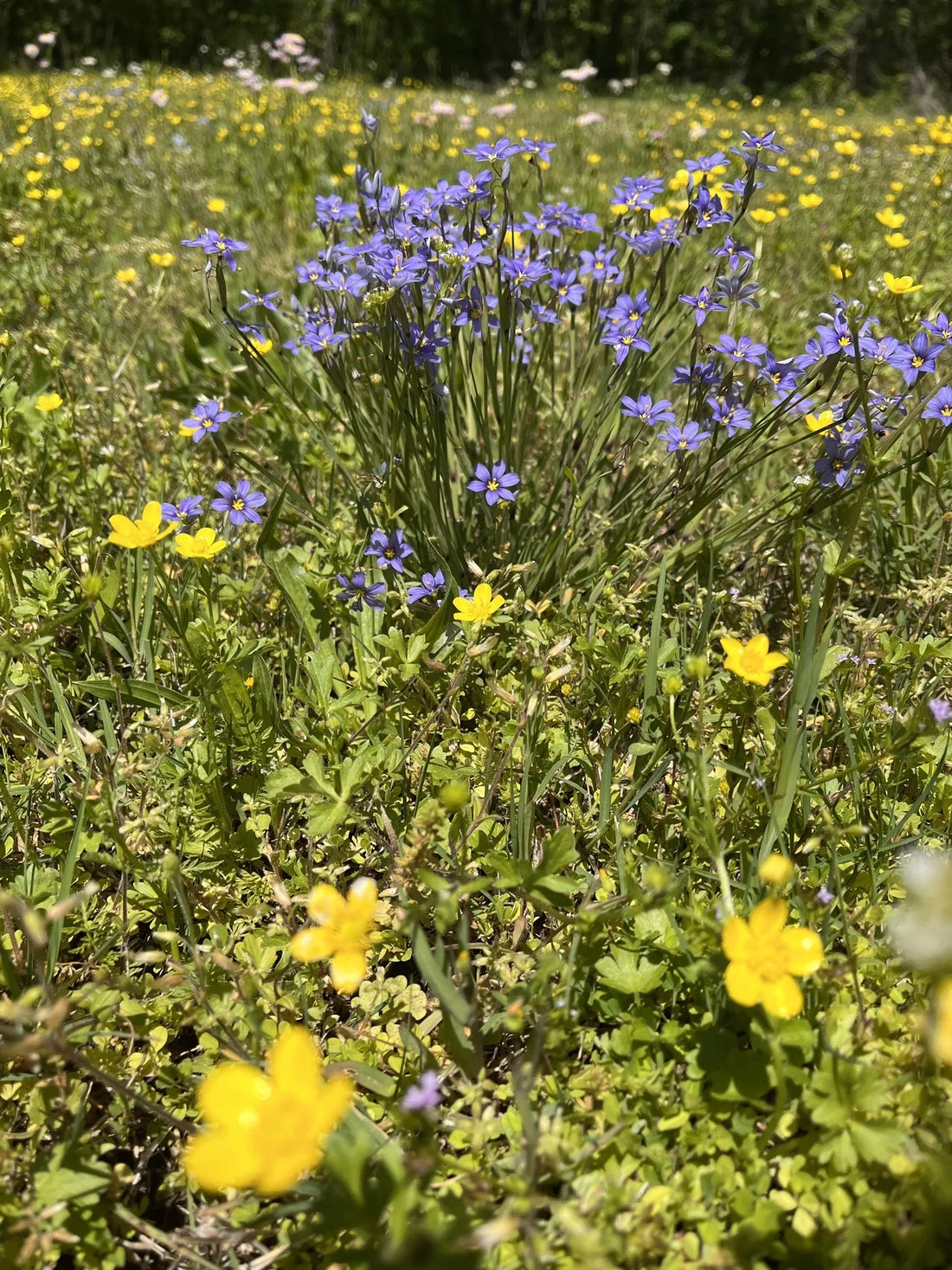 Best or Top Direct Mail Design Agencies and Companies in Muskogee, Oklahoma