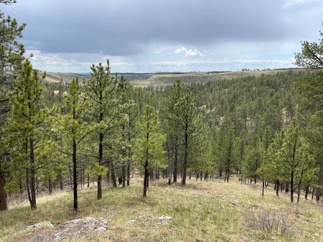 Best or Top Copywriting Agencies and Companies in Sioux Falls, South Dakota