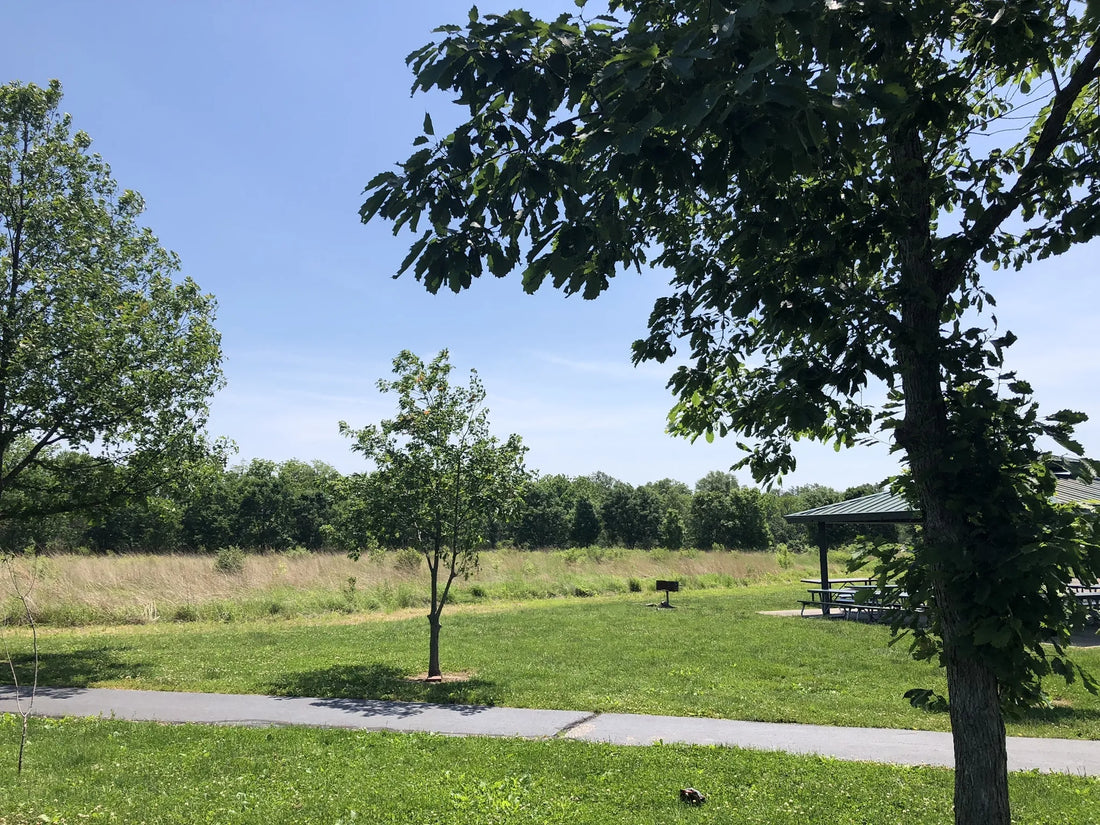 Top or Best Podcast Cover Design Agencies and Companies in Illinois