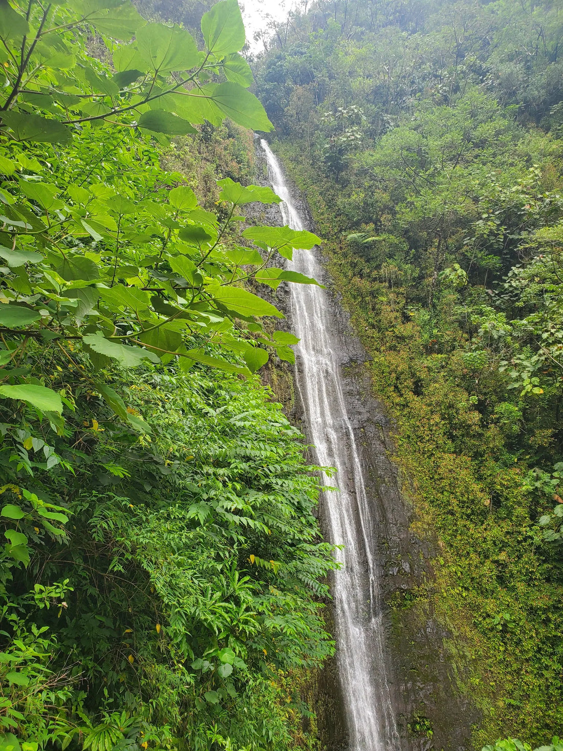 Top or Best Talent Agency Agencies and Companies in Hawaii