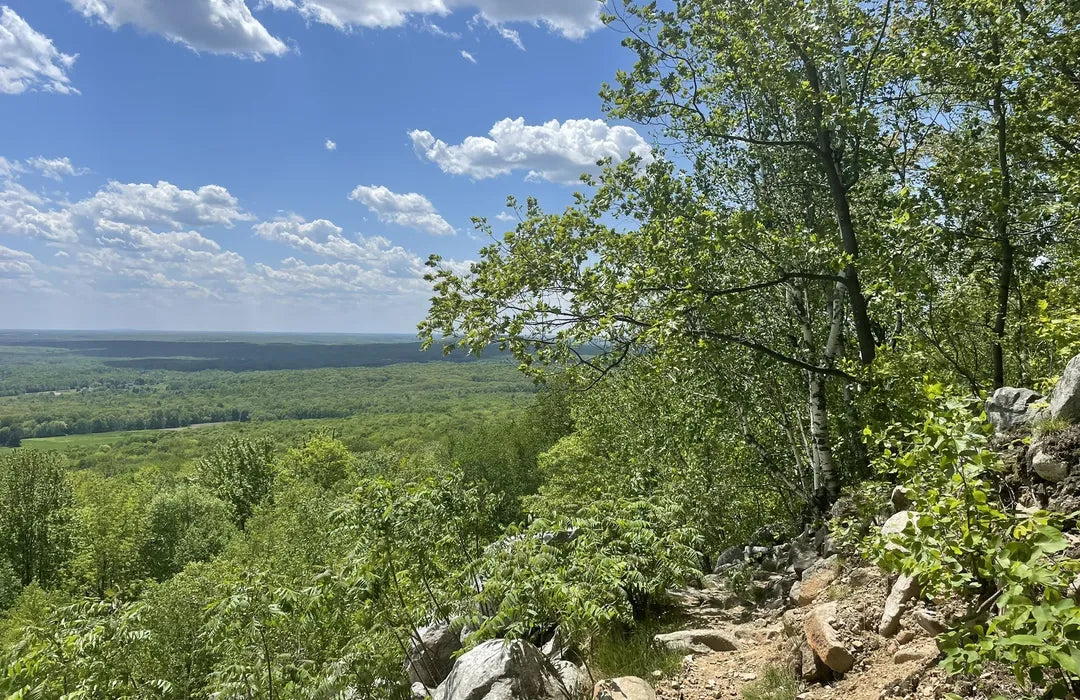 Top or Best X (Twitter) Management Agencies and Companies in Wausau, Wisconsin