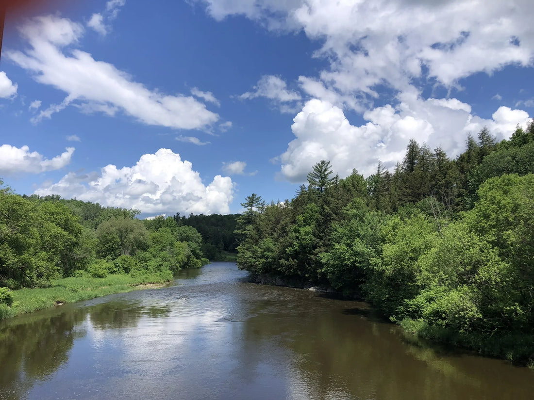 Best or Top AR Filters & Lenses Agencies and Companies in Springfield, Vermont