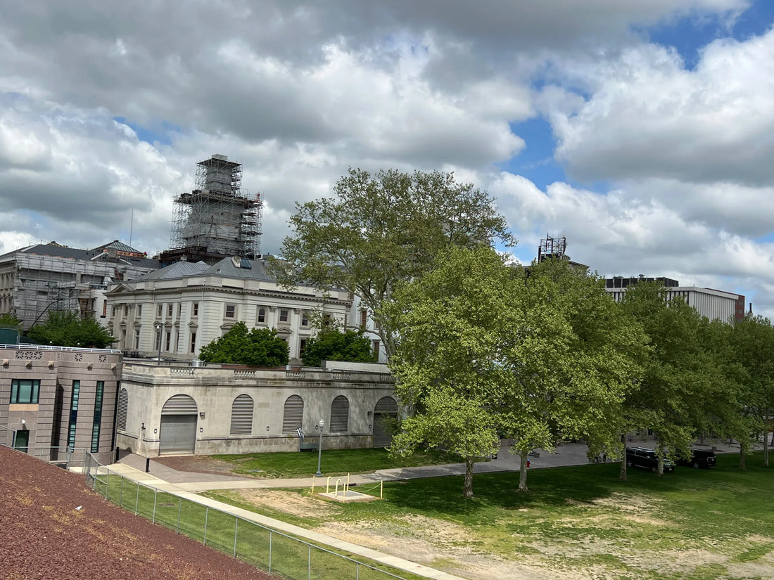 Best or Top Menu Design Agencies and Companies in Trenton, New Jersey