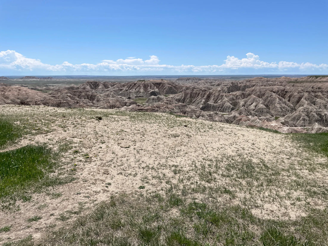 Best or Top Graphic Design Agencies and Companies in Sioux Falls, South Dakota