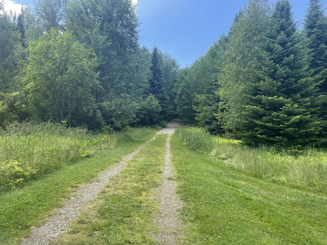 Best or Top Catalog Design Agencies and Companies in St. Johnsbury, Vermont