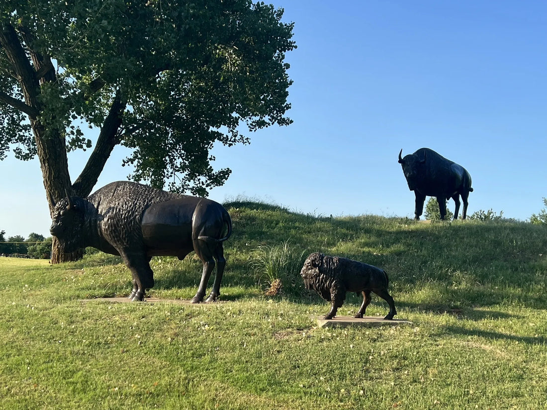 Best or Top App UI/UX Design Agencies and Companies in Yukon, Oklahoma