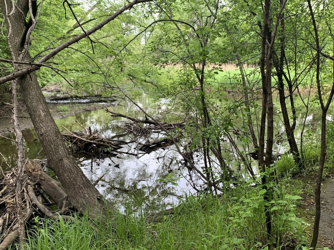 Best or Top Snapchat Management Agencies and Companies in Sioux Falls, South Dakota