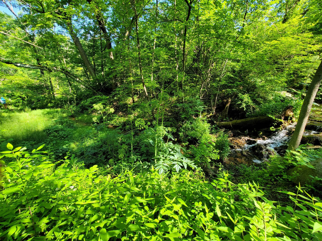 Top or Best LinkedIn Management Agencies and Companies in Illinois