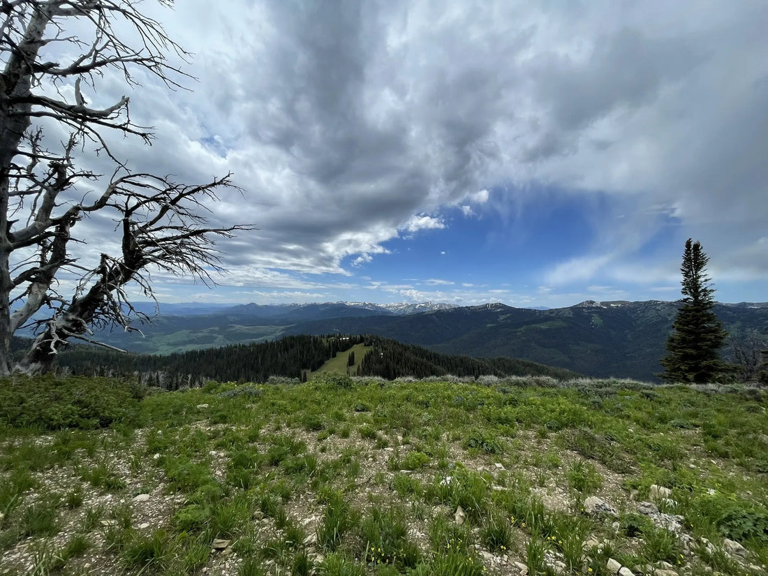 Best or Top Infographic Design Agencies and Companies in Worland, Wyoming