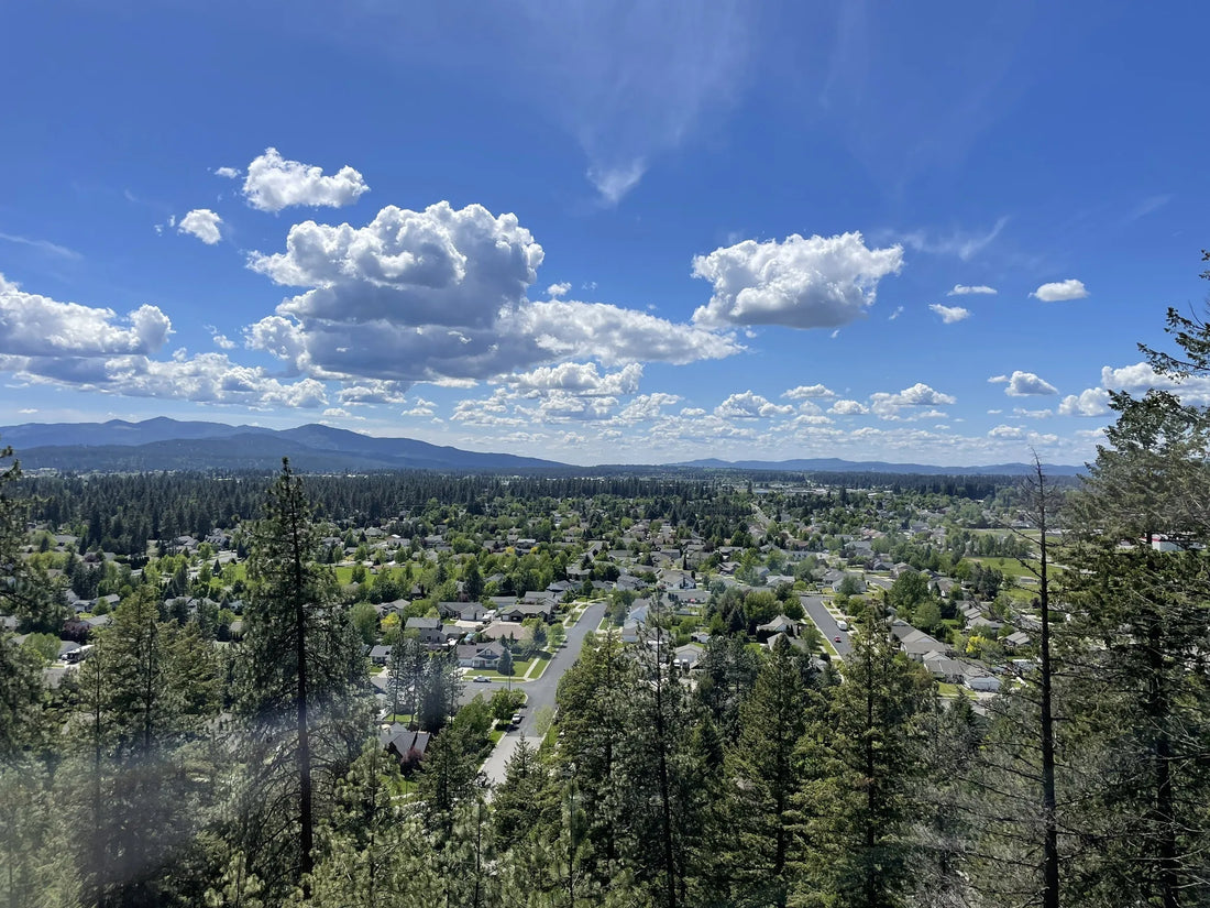 Top or Best Snapchat Management Agencies and Companies in Idaho