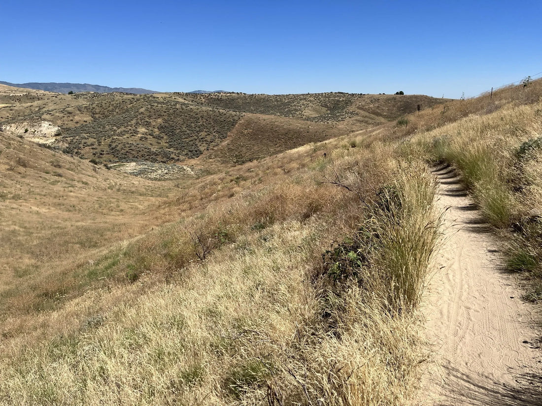 Top or Best TikTok Management Agencies and Companies in Idaho