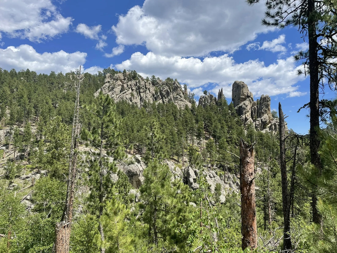 Best or Top Animation & Motion Graphics Agencies and Companies in Sioux Falls, South Dakota