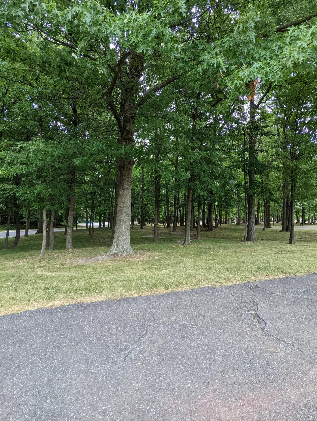 Best or Top NFT Art Agencies and Companies in Woodbridge, New Jersey