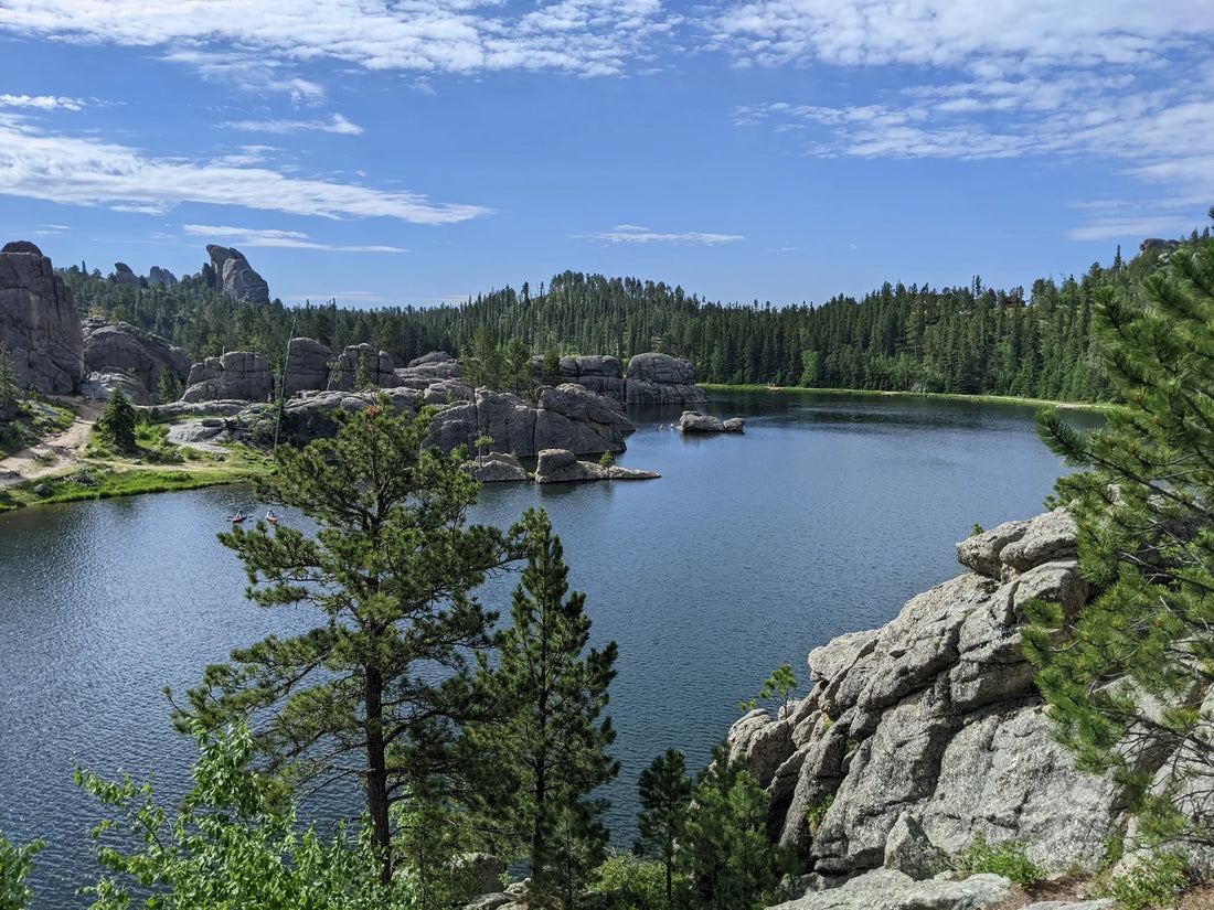 Best or Top Cartoons & Comics Agencies and Companies in Sioux Falls, South Dakota