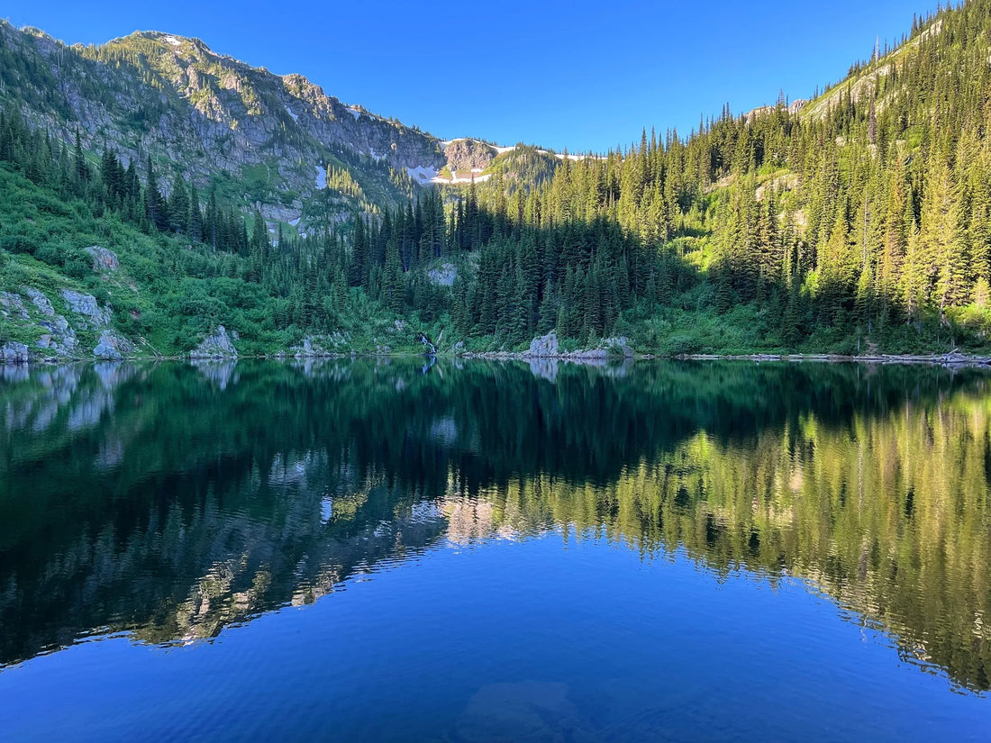 Top or Best NFT Art Agencies and Companies in Idaho