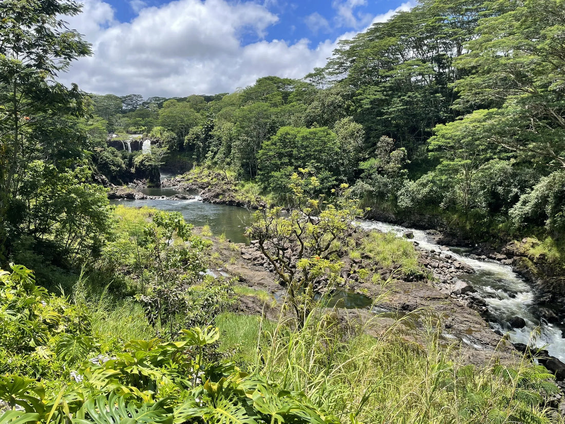 Top or Best Social Media Management Agencies and Companies in Hawaii