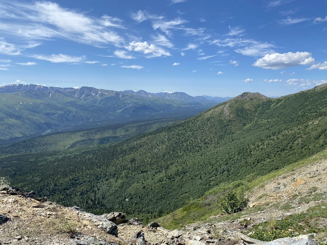 Top Influencer Campaign Strategy Agencies and Companies in Alaska