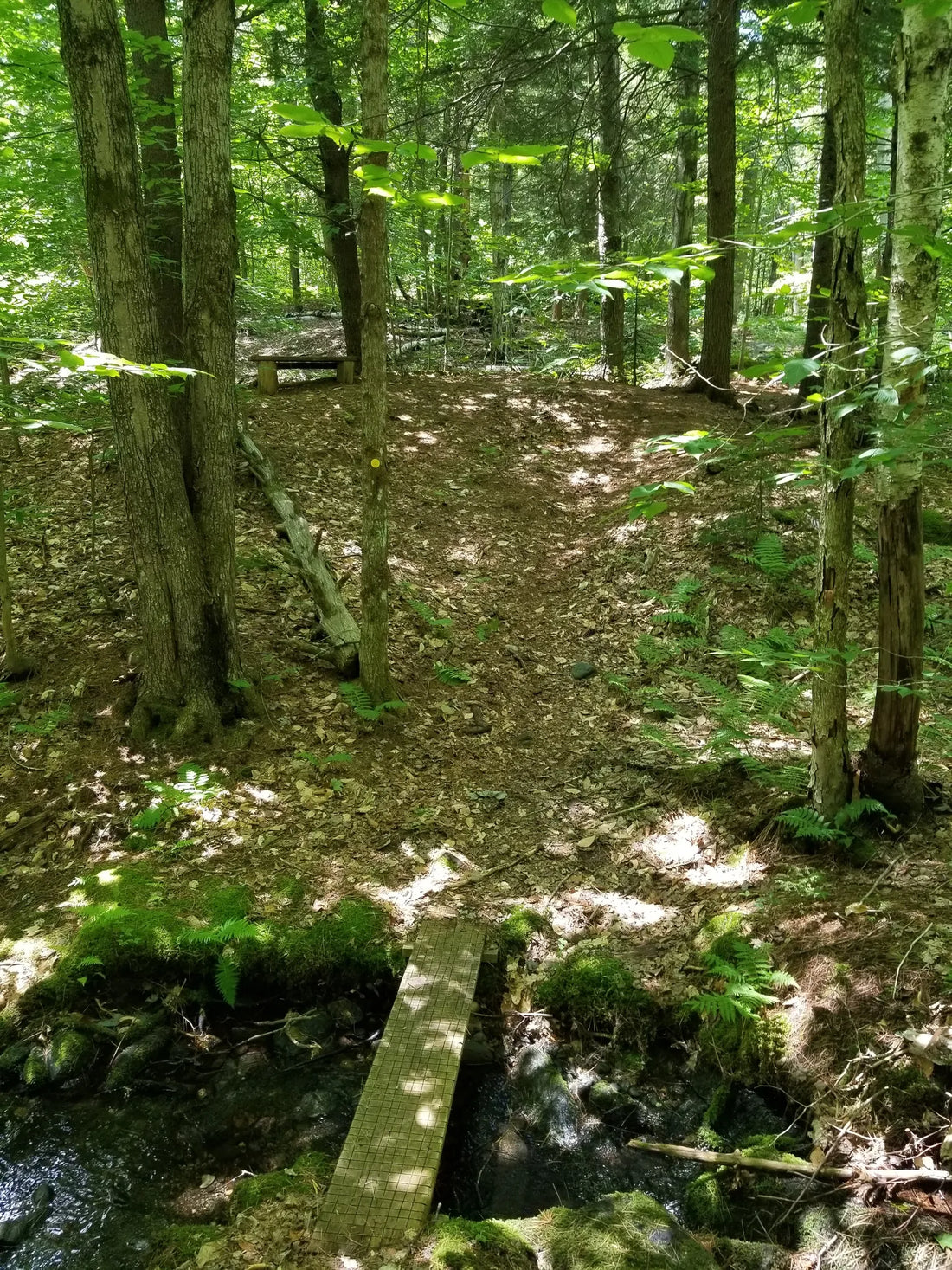 Best or Top Brand Identity Package Agencies and Companies in St. Johnsbury, Vermont