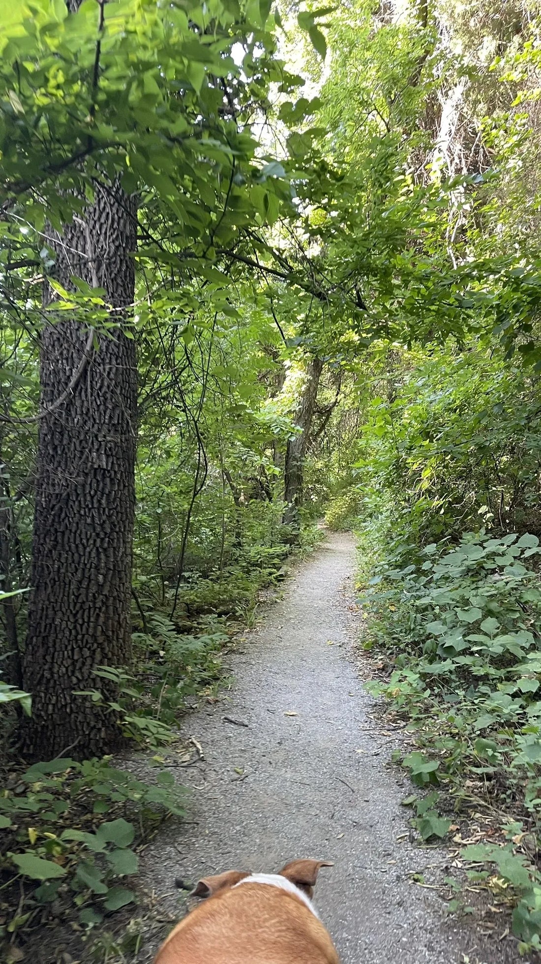 Best or Top AR Filters & Lenses Agencies and Companies in Yukon, Oklahoma