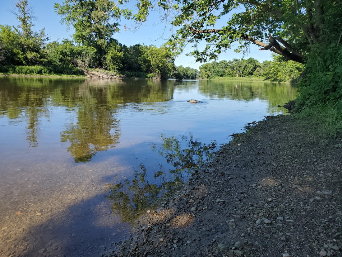 Top or Best Talent Management Agencies and Companies in Illinois