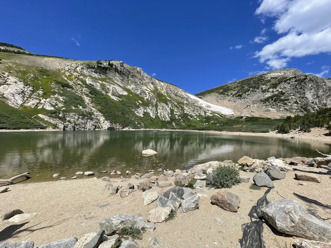 Top Athlete Management Agencies and Companies in Colorado