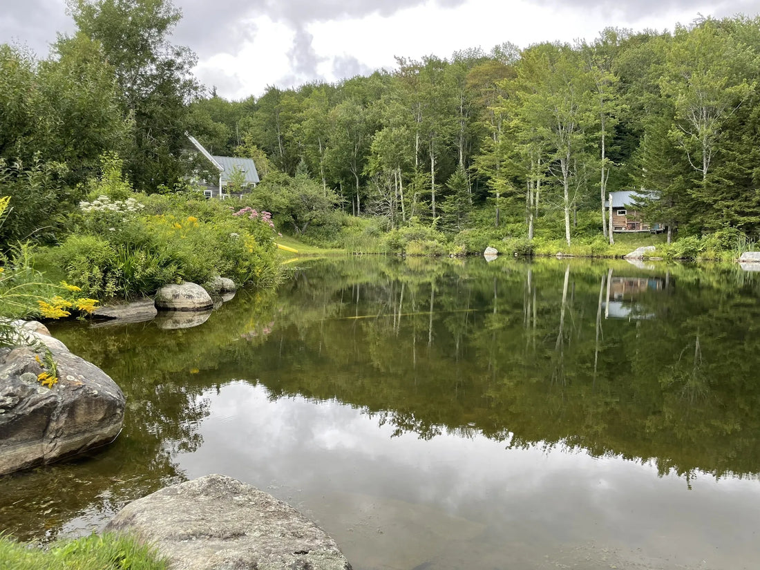 Best or Top Custom Graphics for Videos Agencies and Companies in St. Johnsbury, Vermont