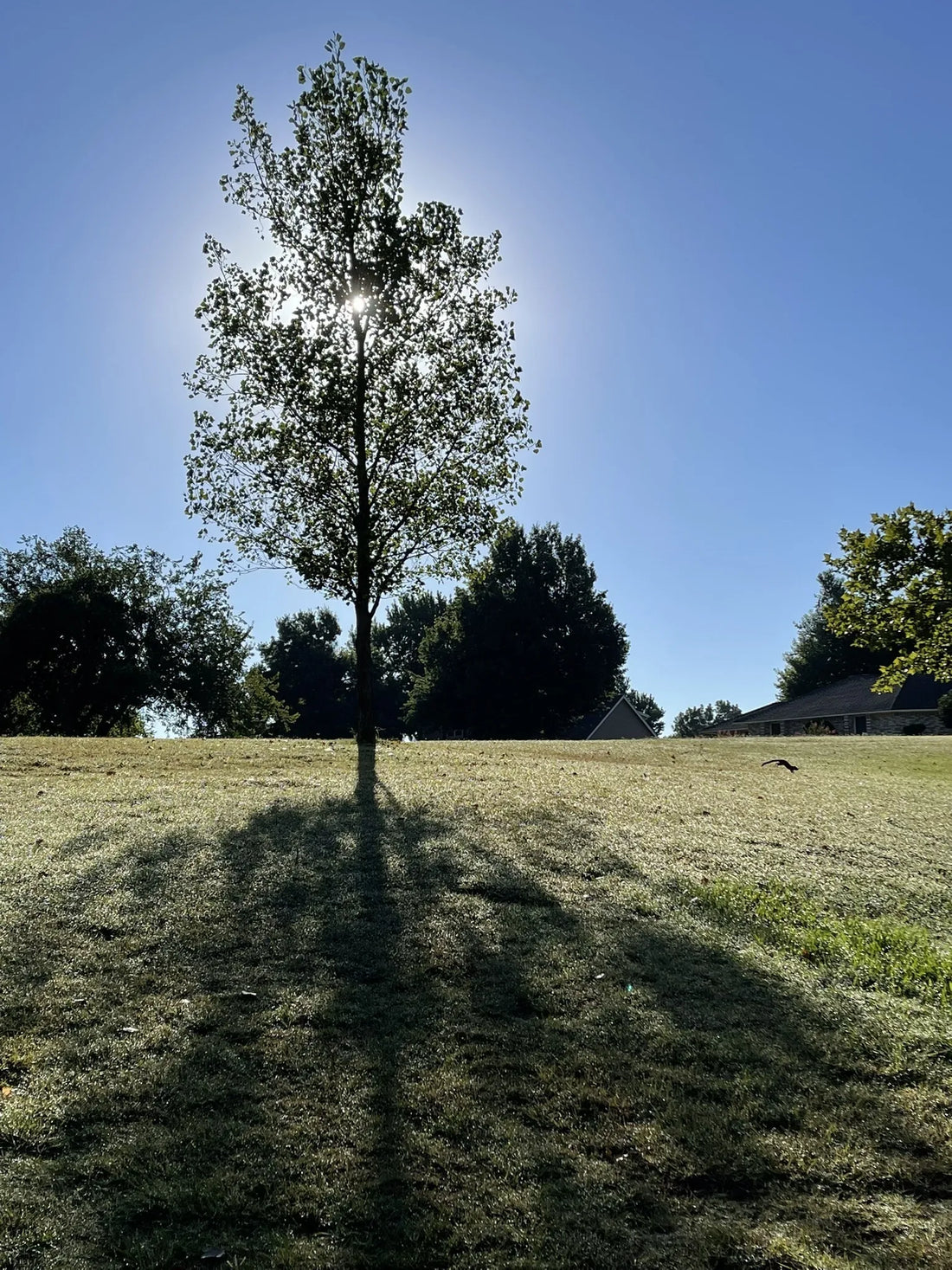 Best or Top Video Editing Agencies and Companies in Yukon, Oklahoma