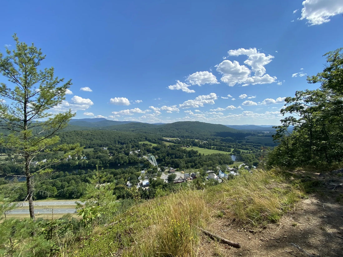 Best or Top Storyboards Agencies and Companies in Montpelier, Vermont