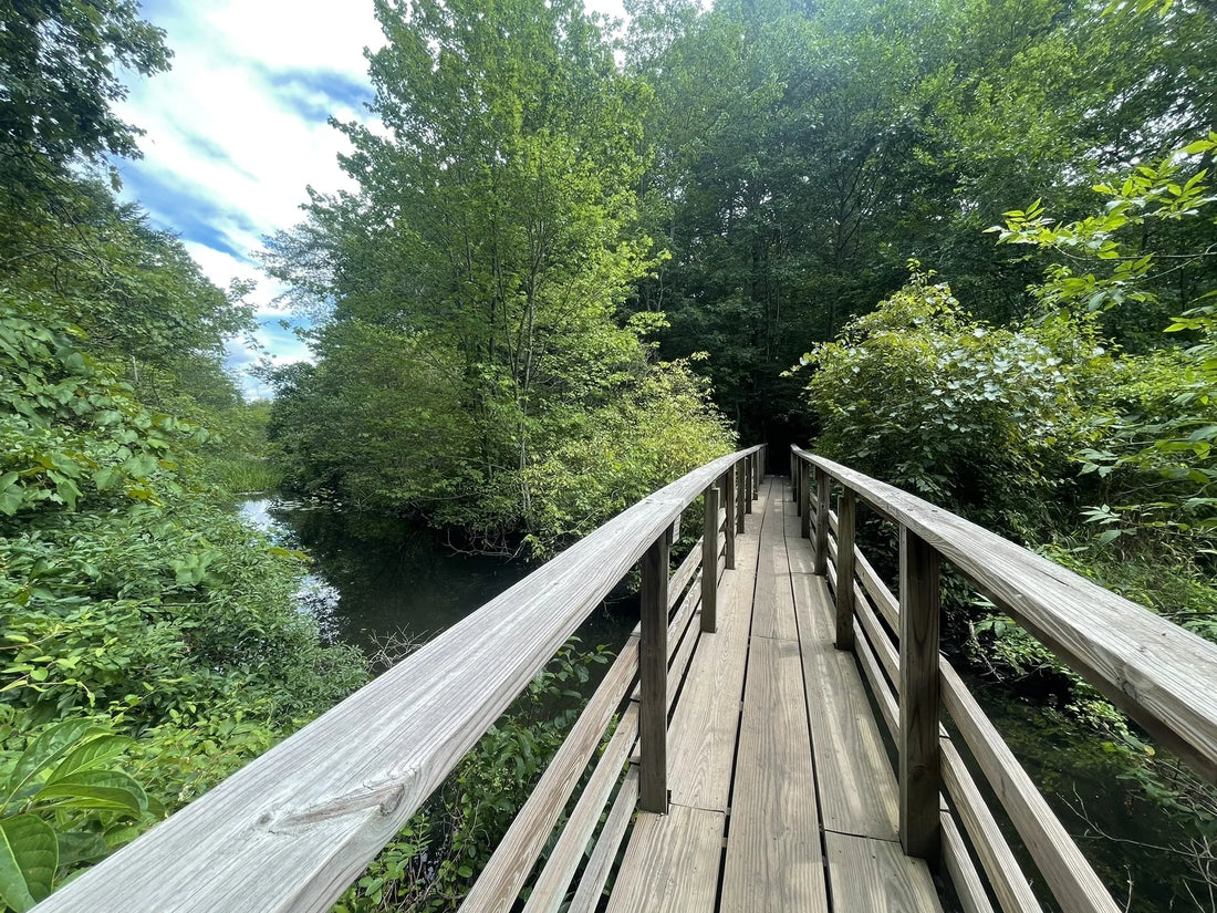 Top Brand Partnership Agencies and Companies in Connecticut