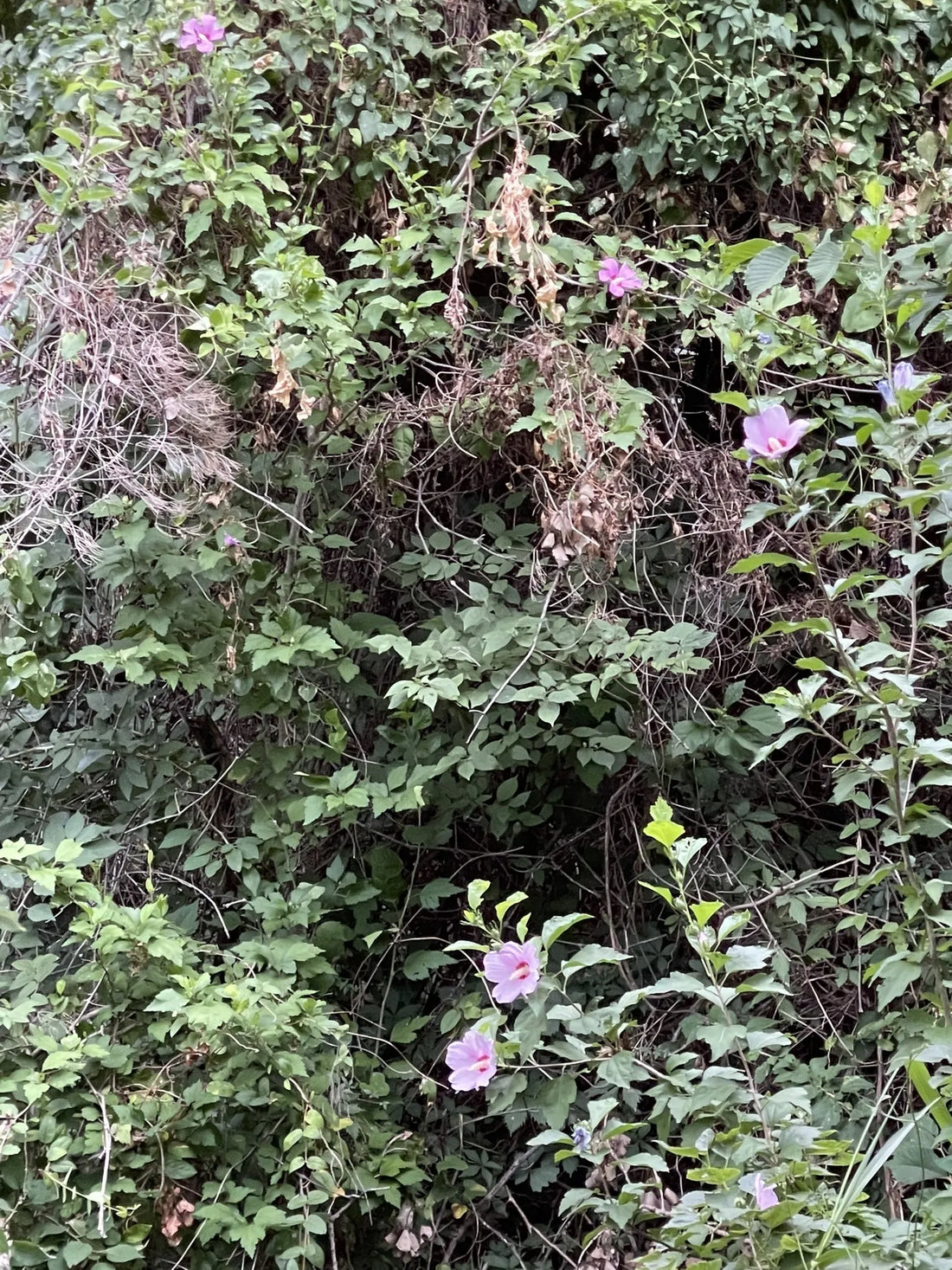 Best or Top Banner Ads Agencies and Companies in Yukon, Oklahoma