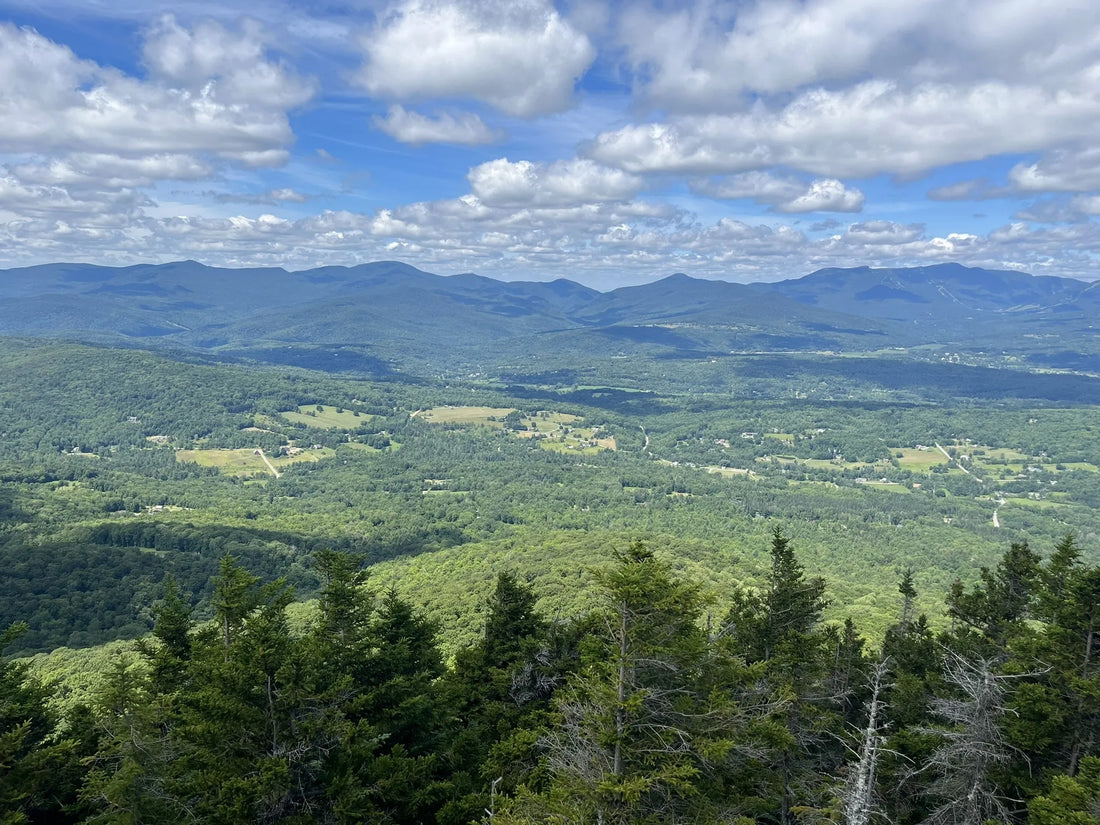 Best or Top Video Editing Agencies and Companies in Montpelier, Vermont