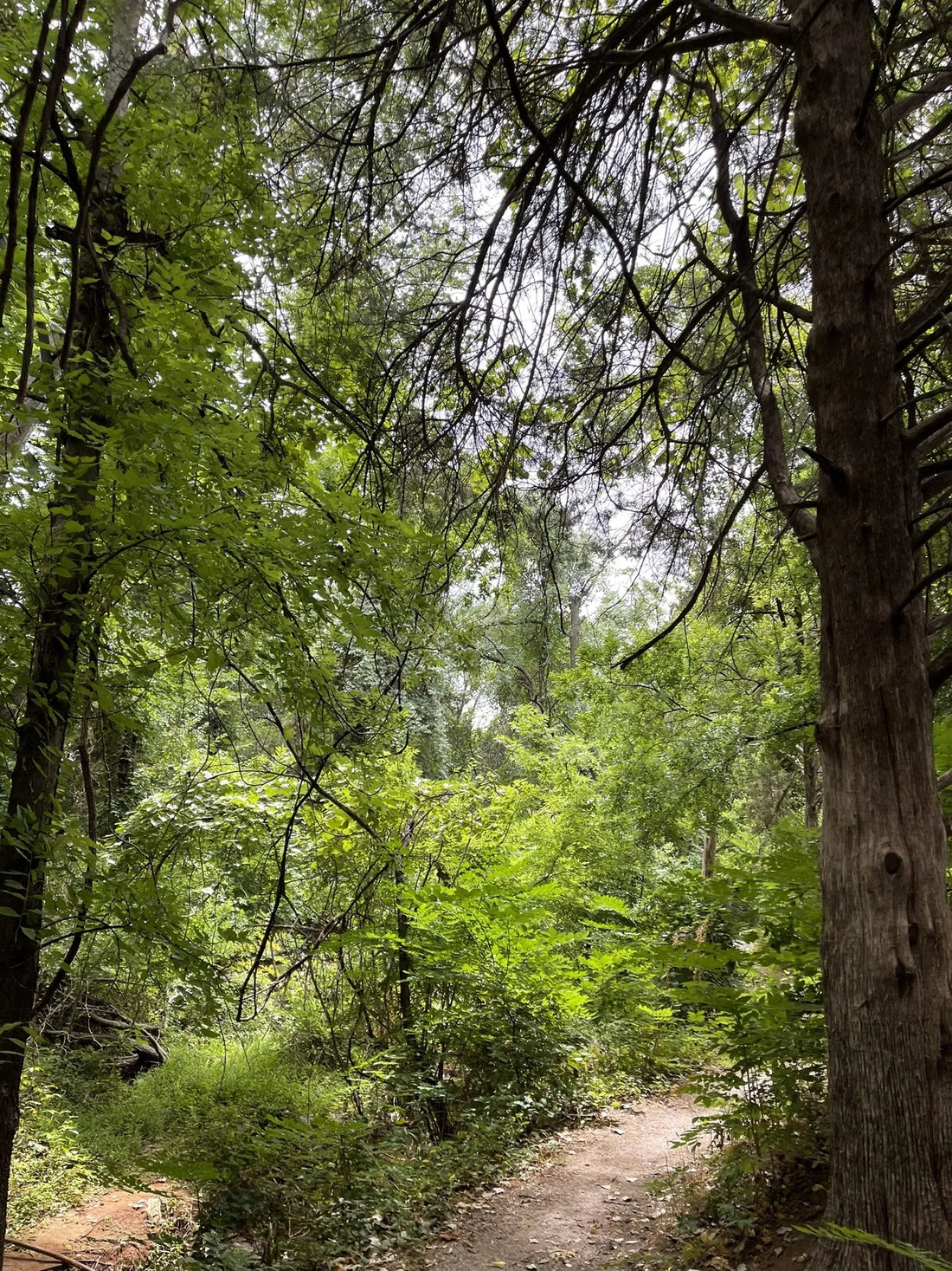 Best or Top Copywriting Agencies and Companies in Yukon, Oklahoma