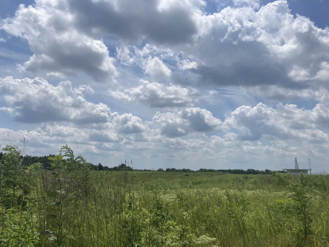 Best or Top Catalog Design Agencies and Companies in Trenton, New Jersey