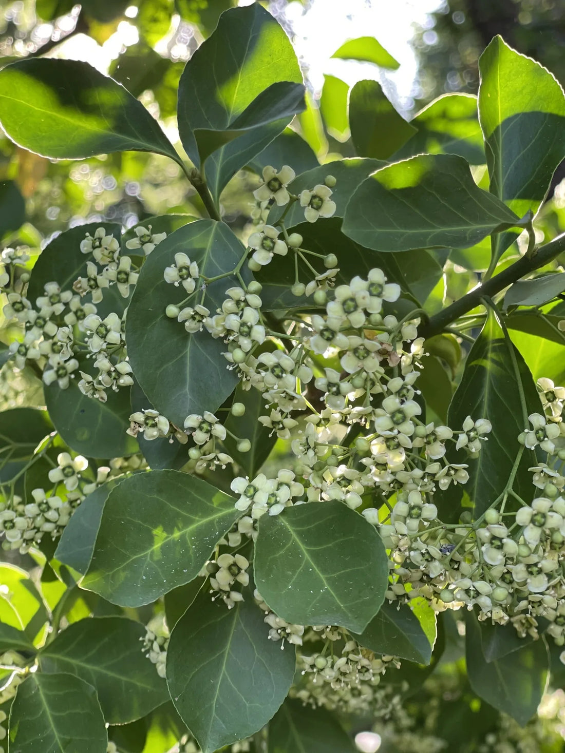 Best or Top Direct Mail Design Agencies and Companies in Yukon, Oklahoma